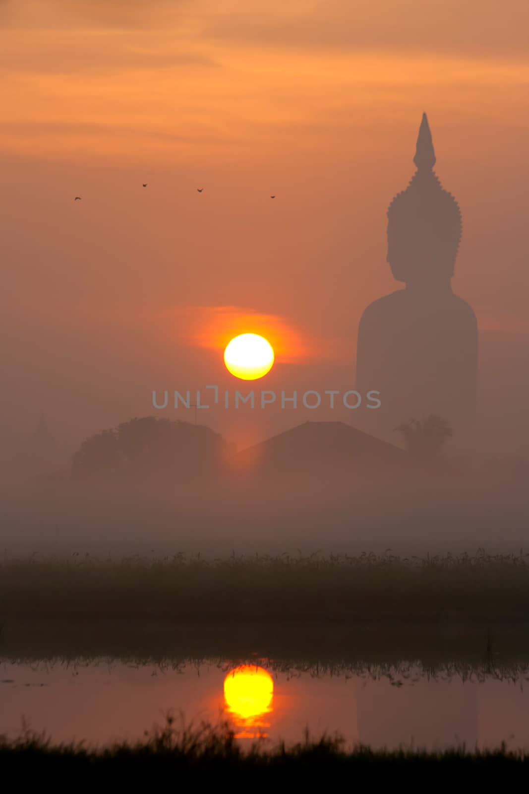 Big buddha statue at sunset