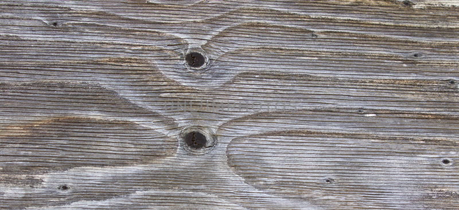 Photo of a beautiful pattern of the old wooden wall