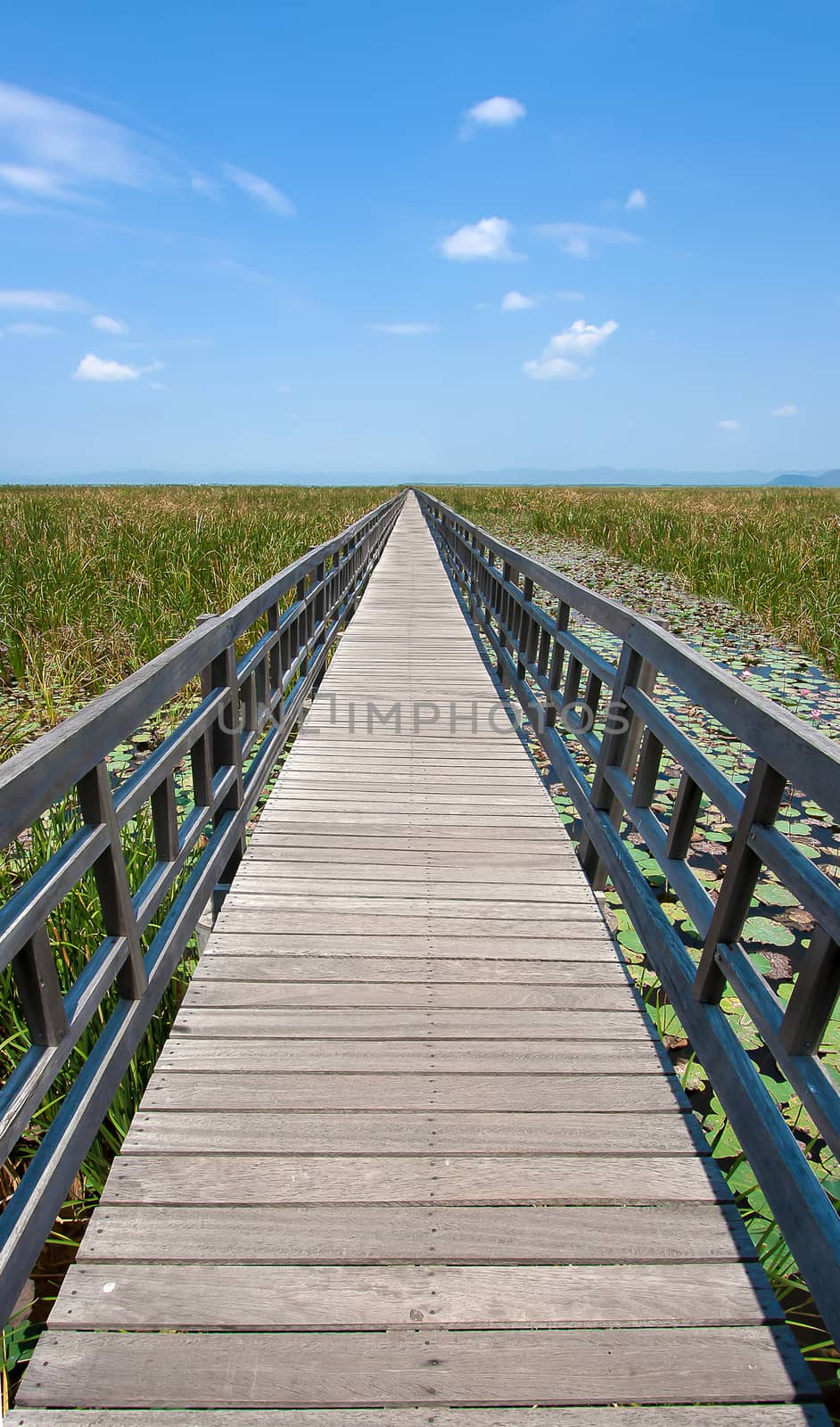 Wooden bridge over lake Sam Roi Yod National Park, Prachuap Khiri Khan, Thailand