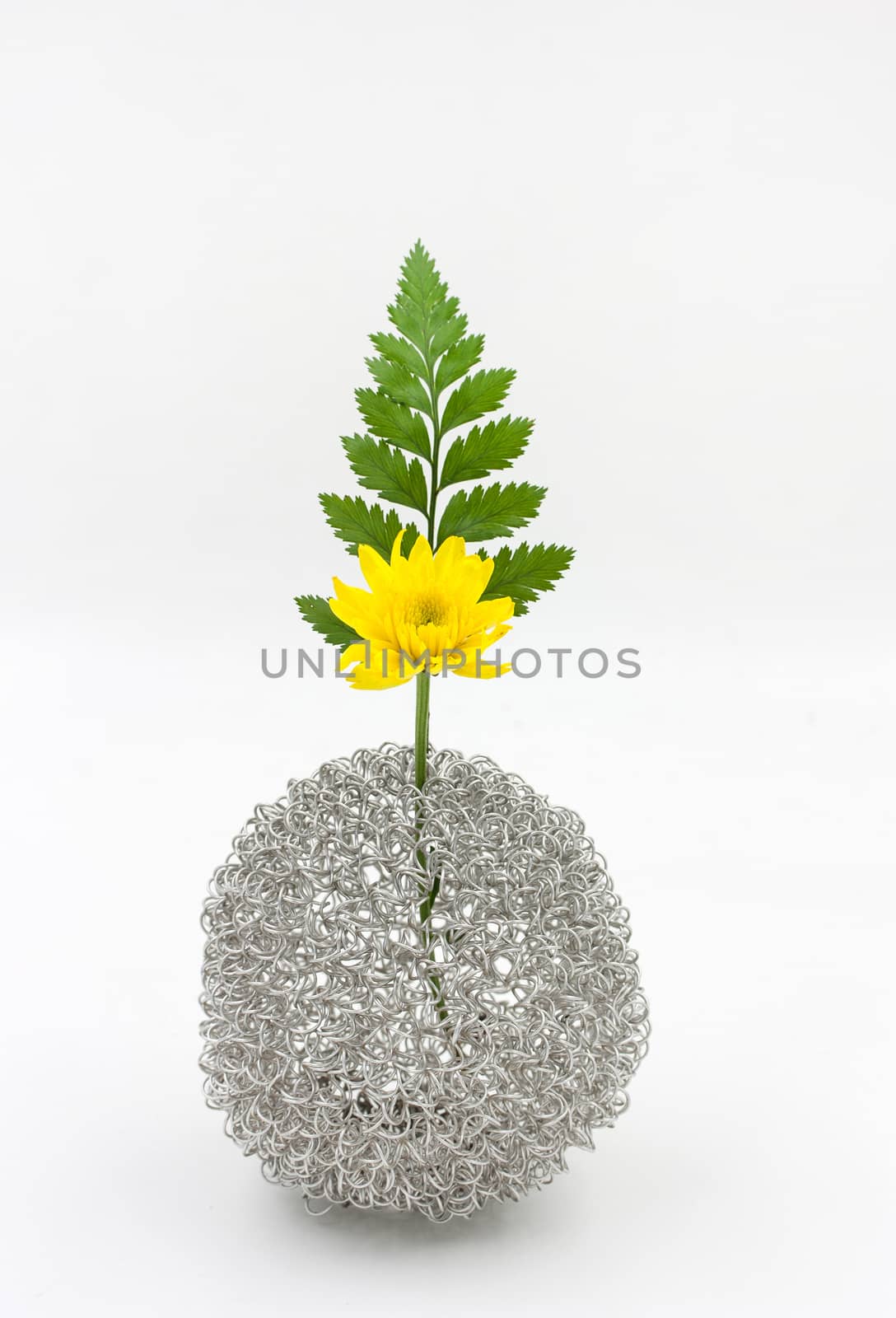 Yellow flower bouquet  in vase on white background