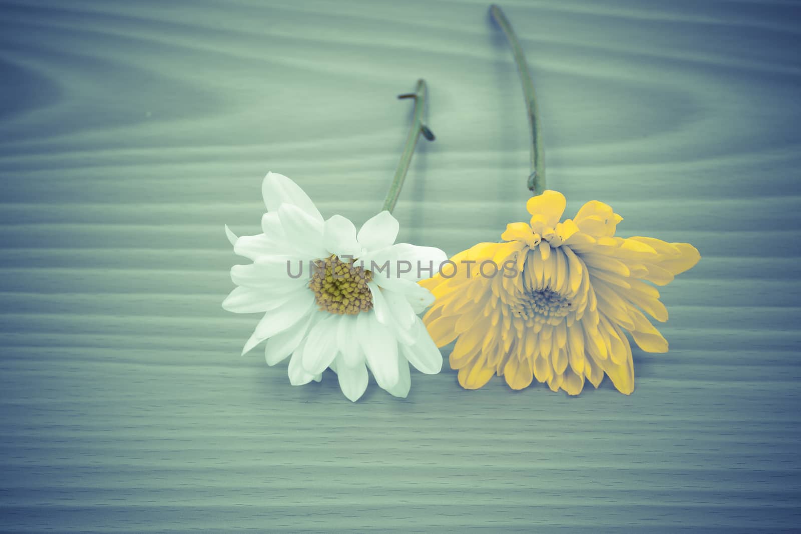 vintage effect style of arrangement flower on wooden with empty space background