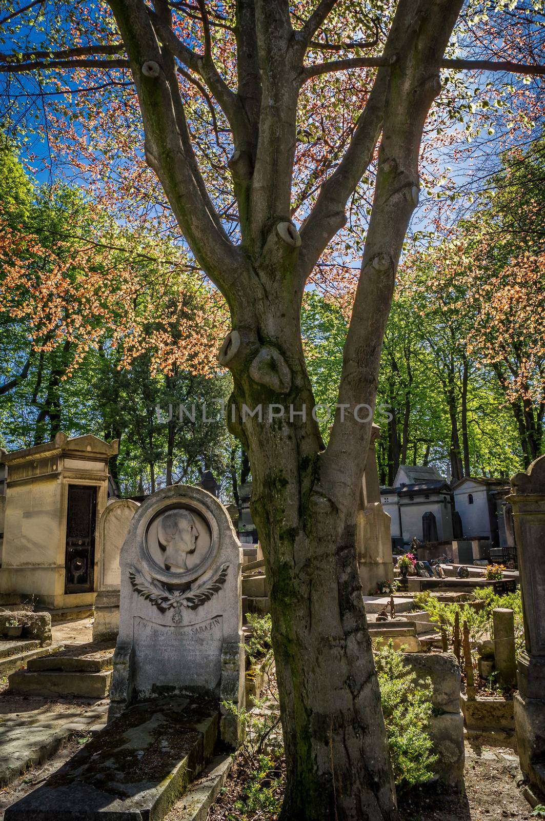 Tombstone in a cemetery in the autumn