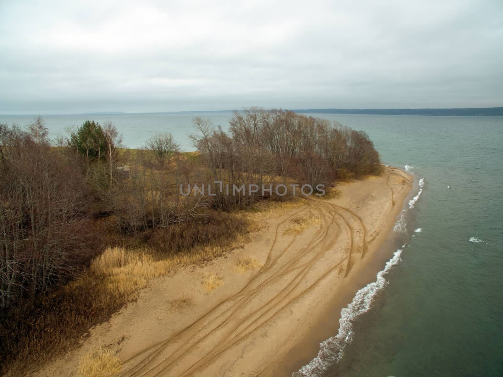 Sandy beach with shrubbery