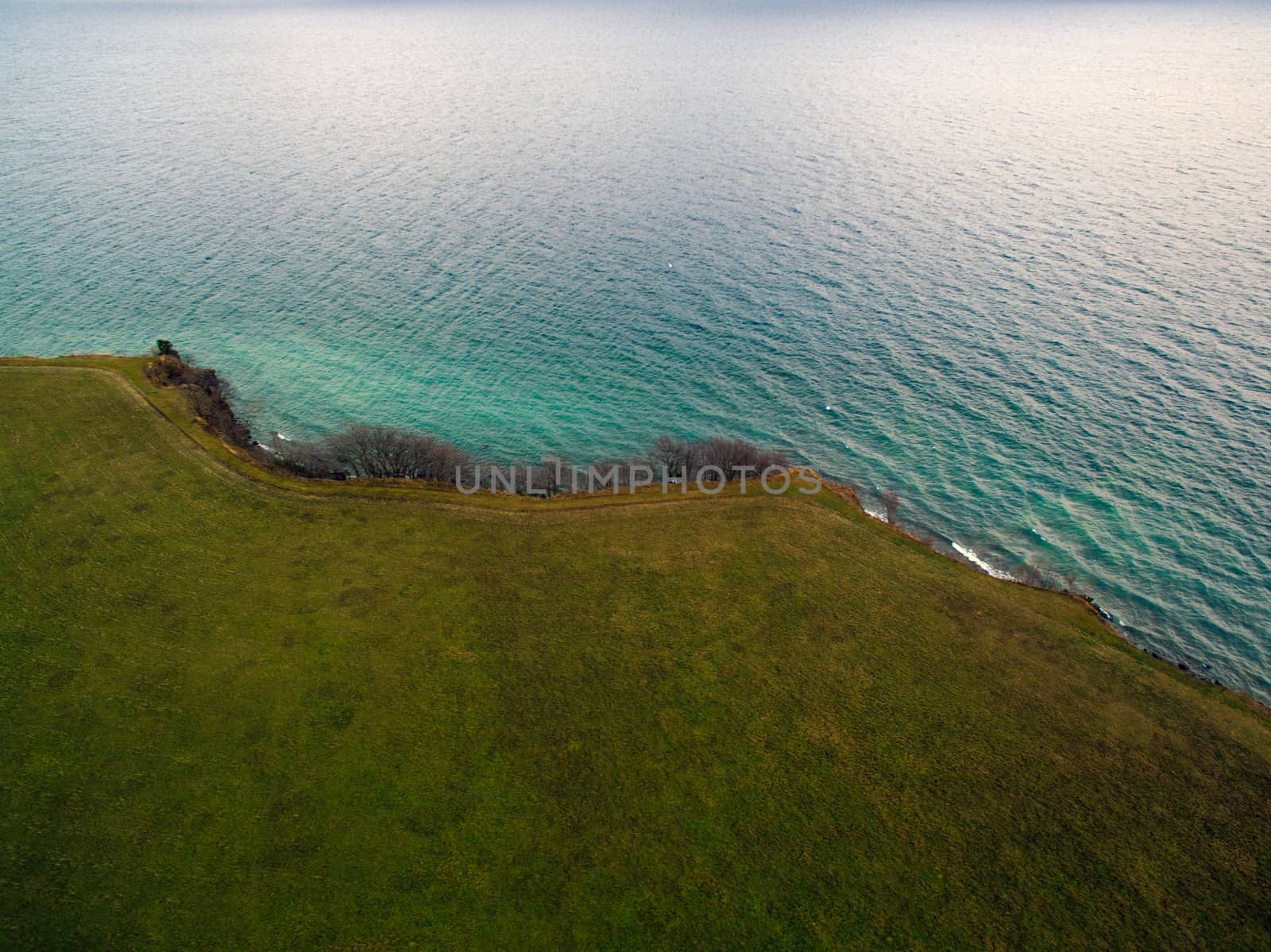 Grass and water shoreline