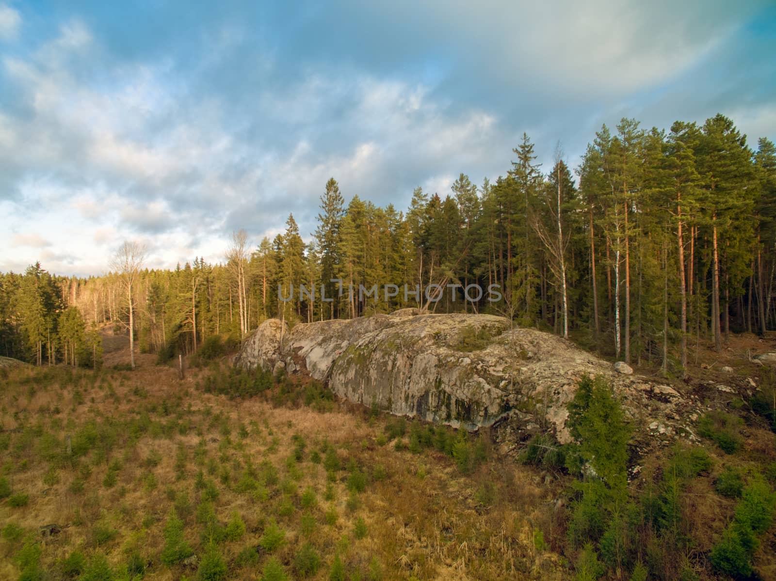 Large rock in the woods by thomas_males