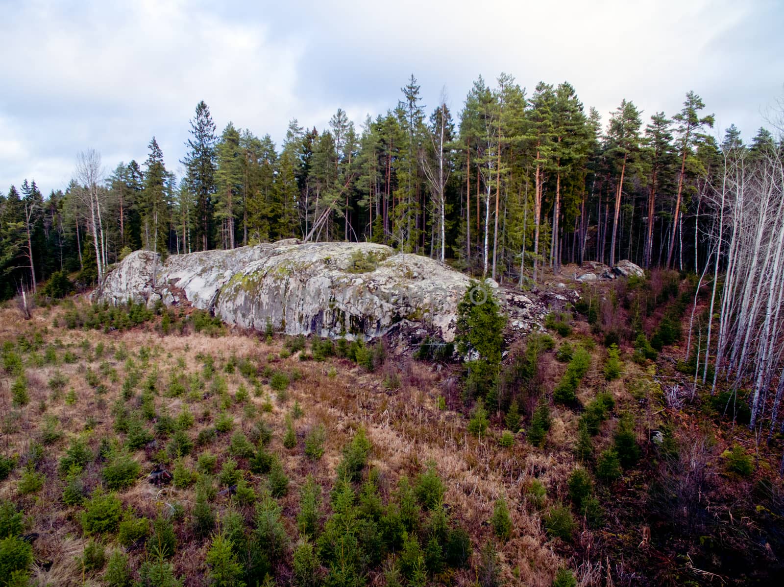 A large rock and forest by thomas_males