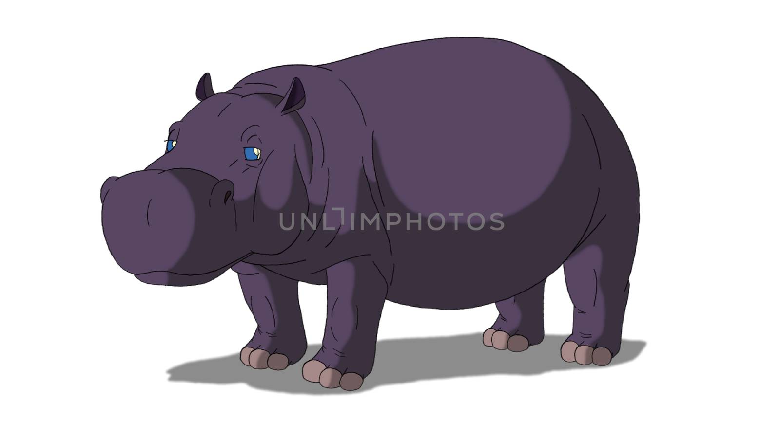 African Hippo Isolated on White Background by Multipedia