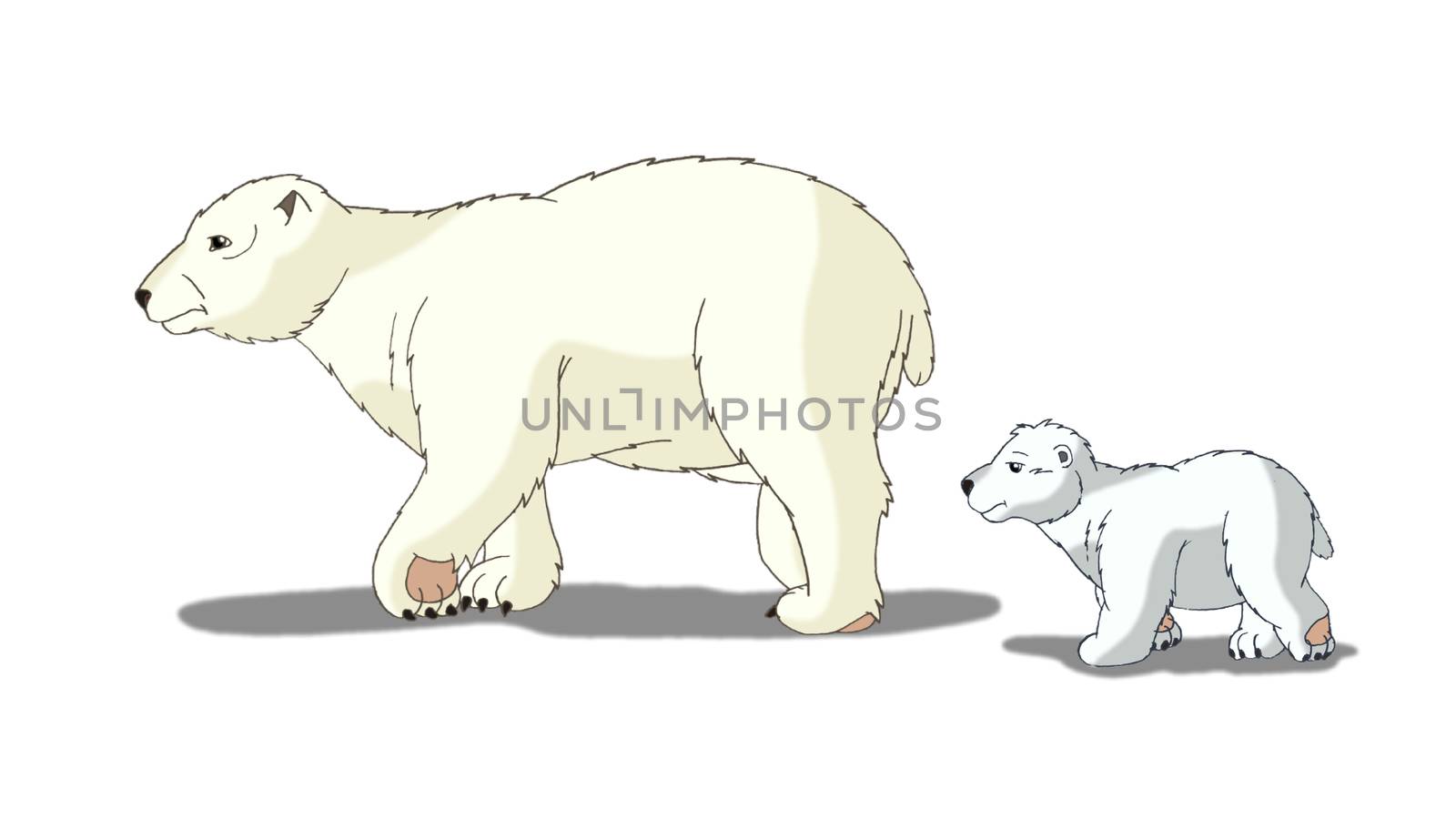 Digital painting of the Polar Bear