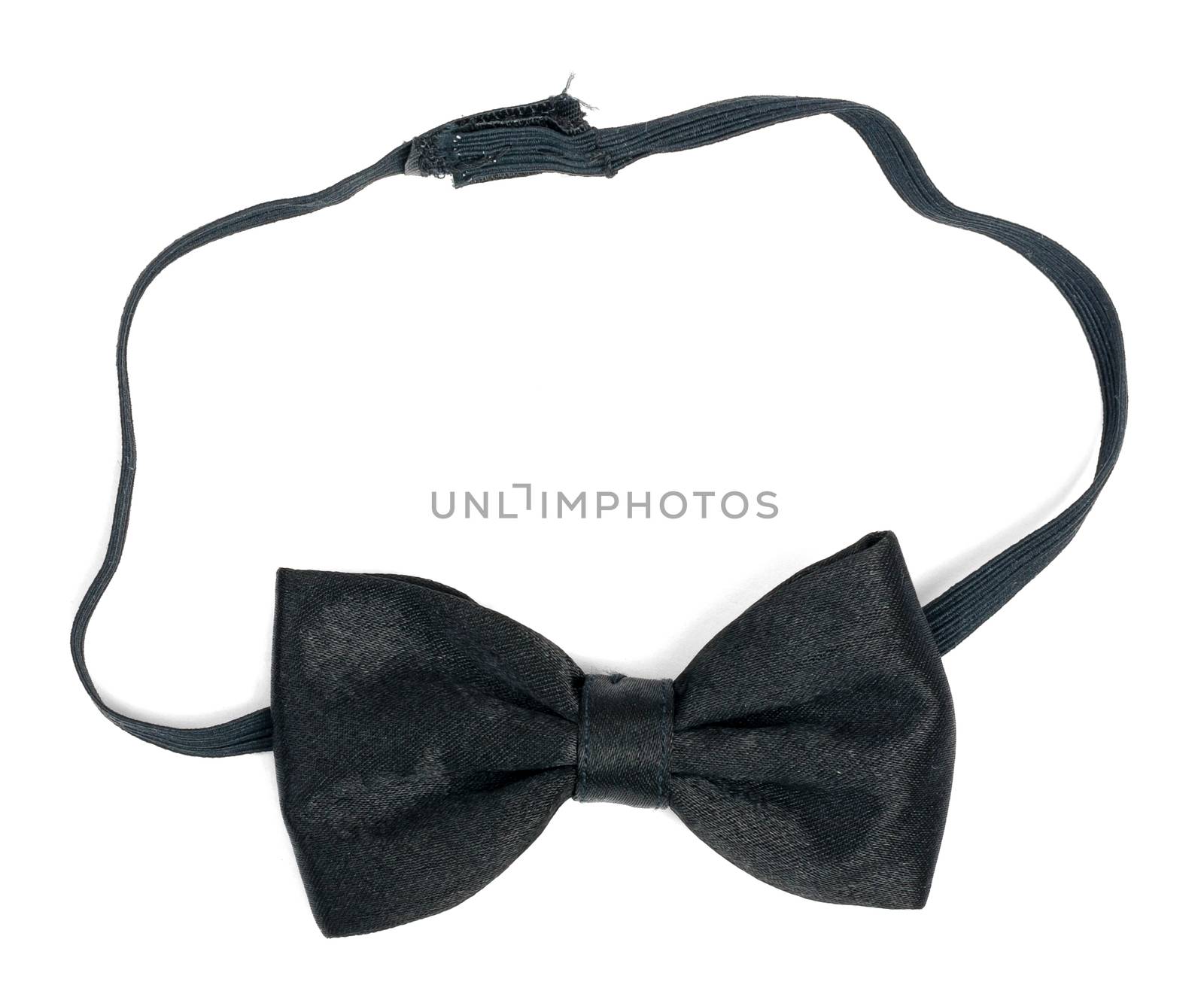 Black bow tie by cherezoff
