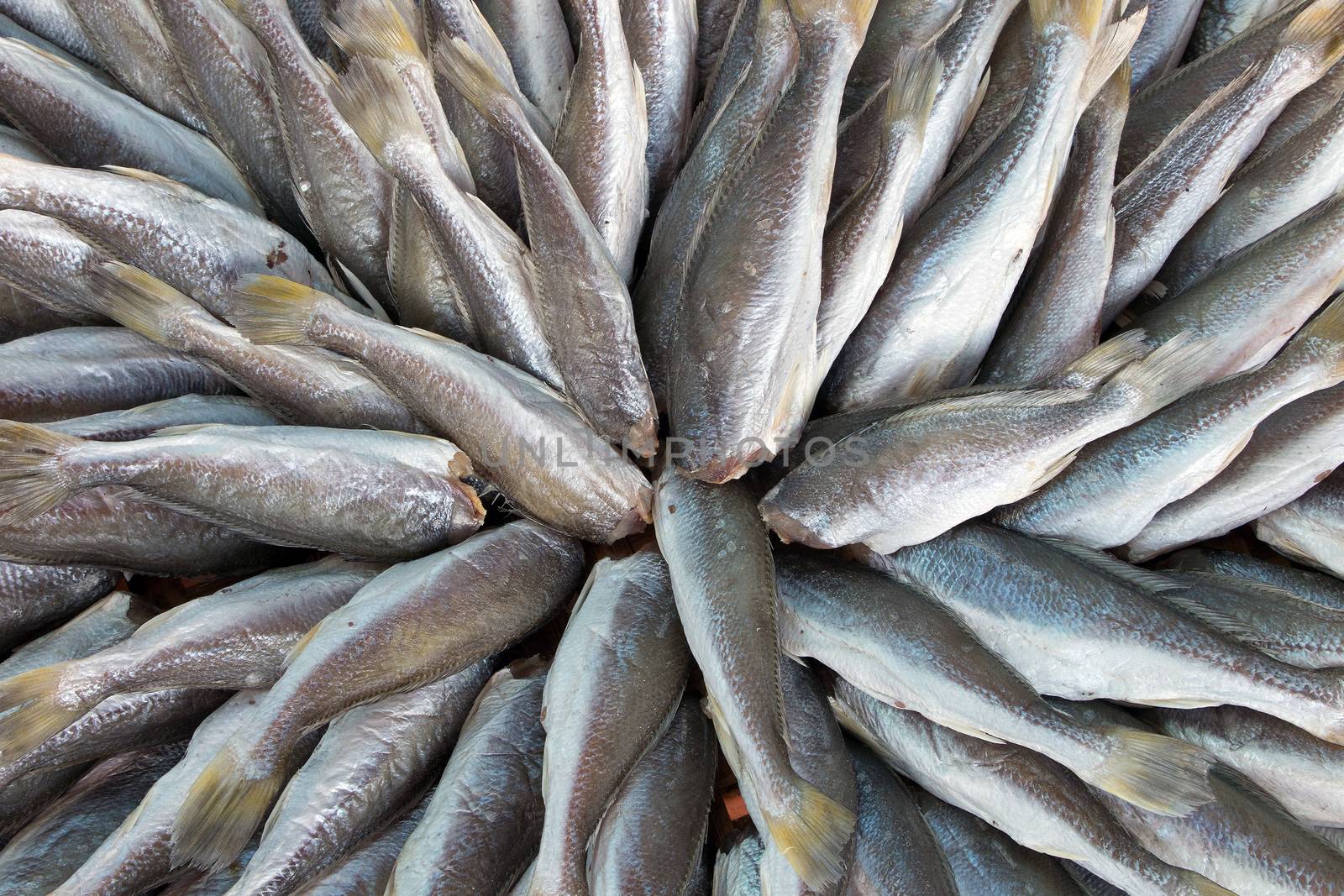 Dried fish at Fish Market in Chonburi, Thailand