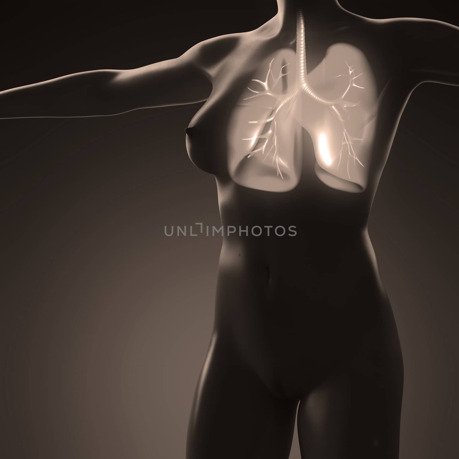 science anatomy of human body with glow lungs by icetray