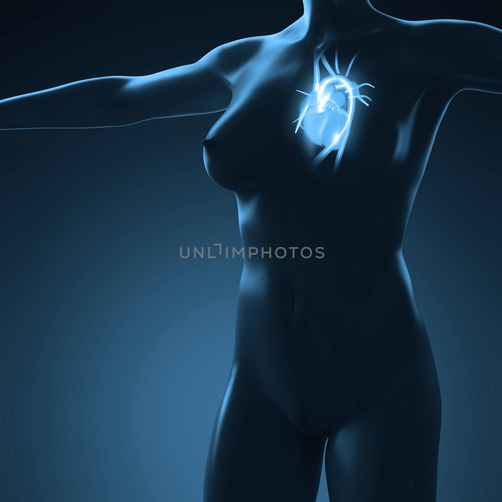 science anatomy of human body with glow heart by icetray