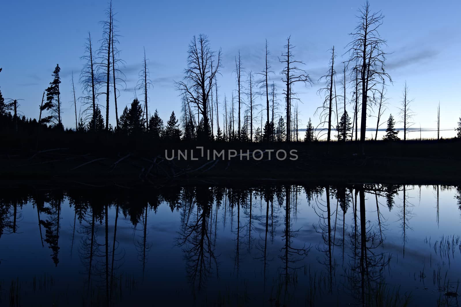 Silhouet reflection in a pond in Yellowstone National Park, after sunset.