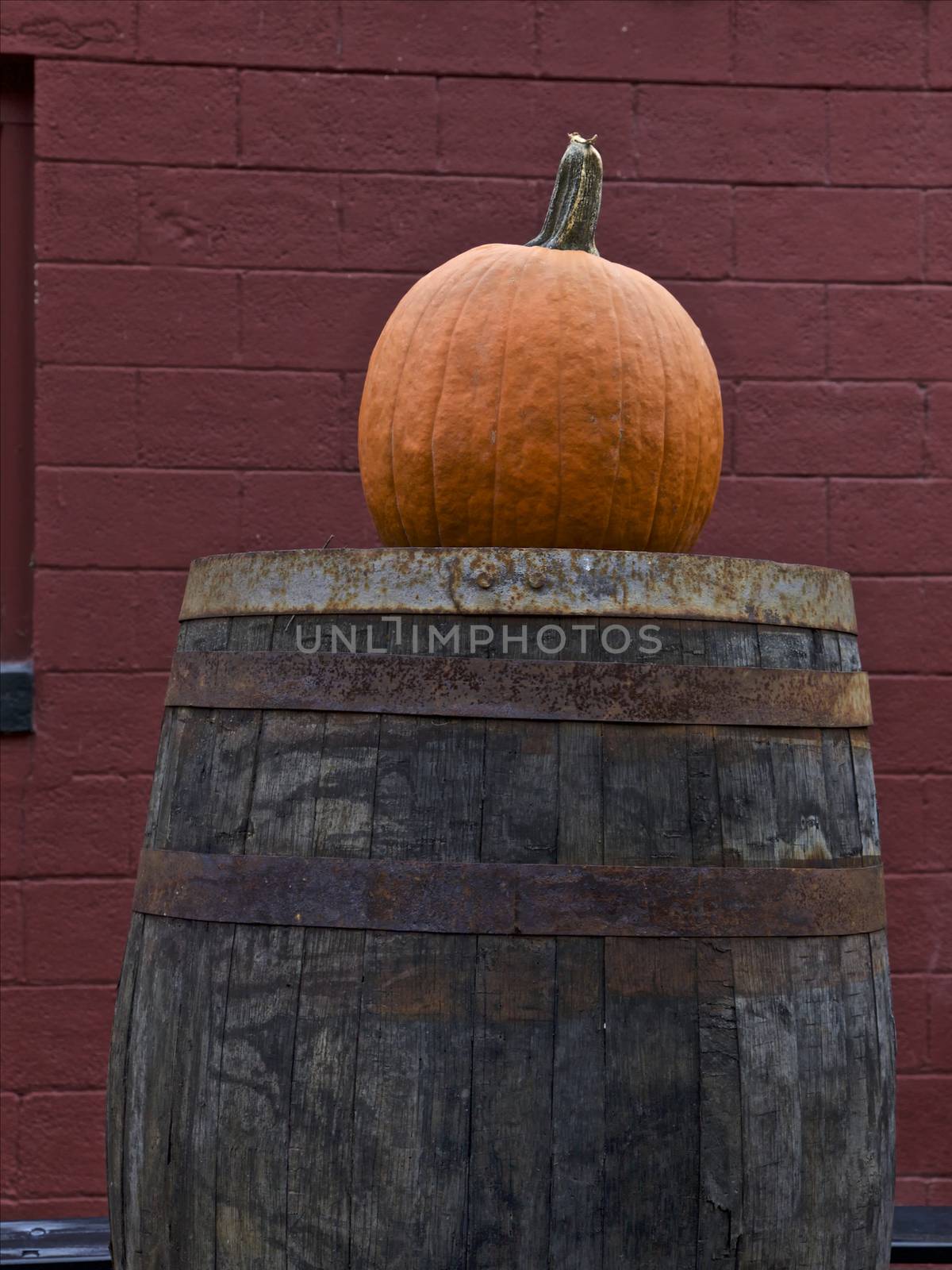 Pumpkin on a wine barrel, Connecticut, USA