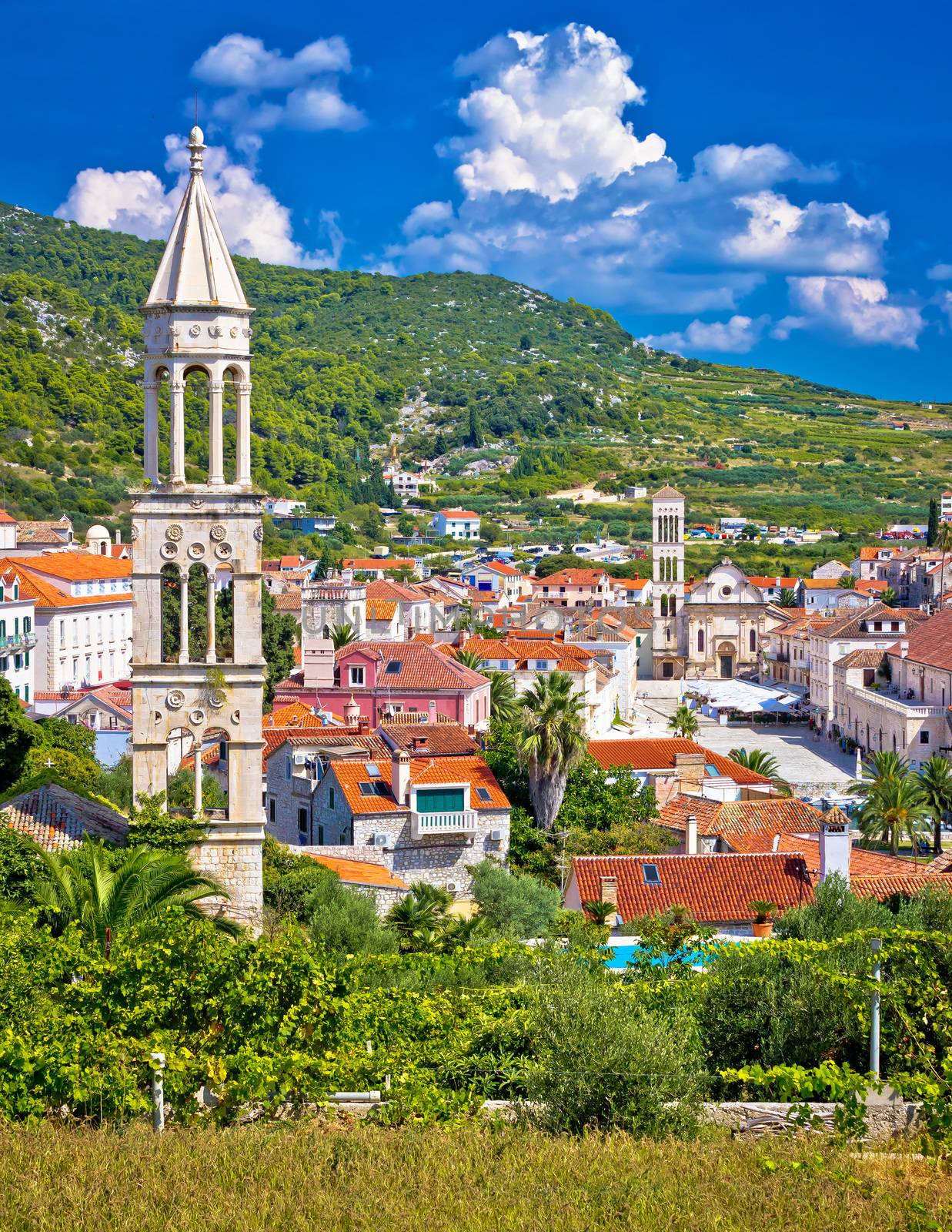 Hvar architecture and nature vertical view, Dalmatia, Croatia