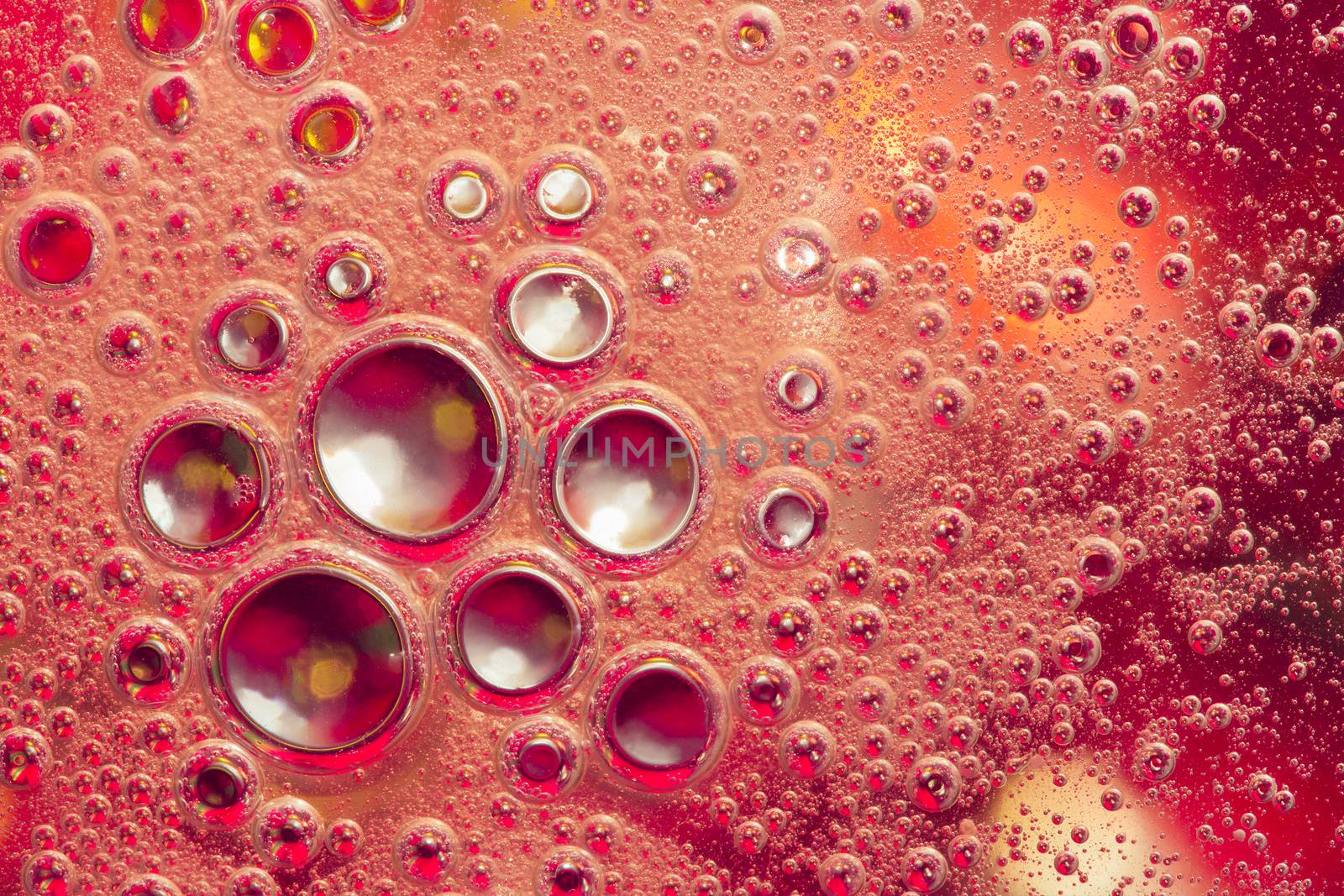macro oil bubbles abstract light background