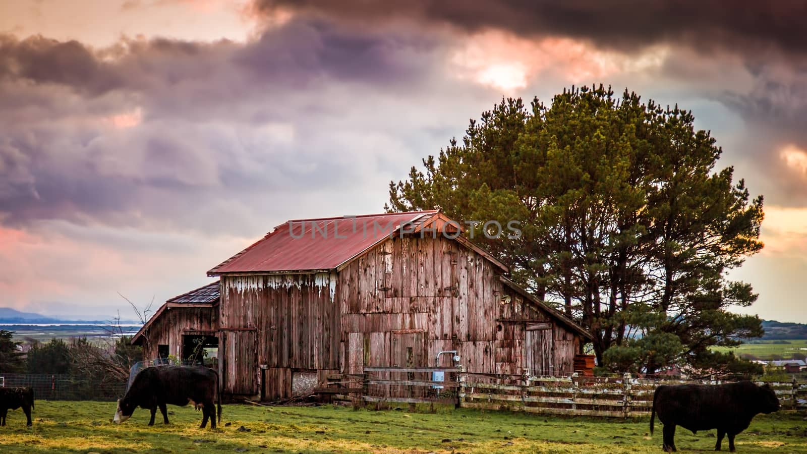 An old barn, landscape, Color Image, USA