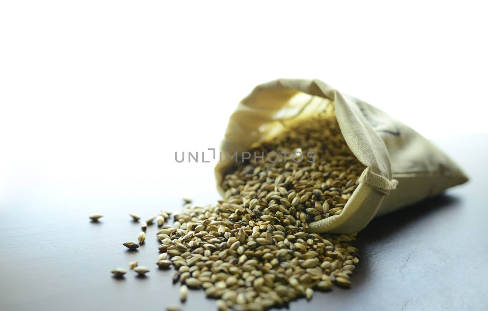 Malted cereal barley germinated grain for beer production