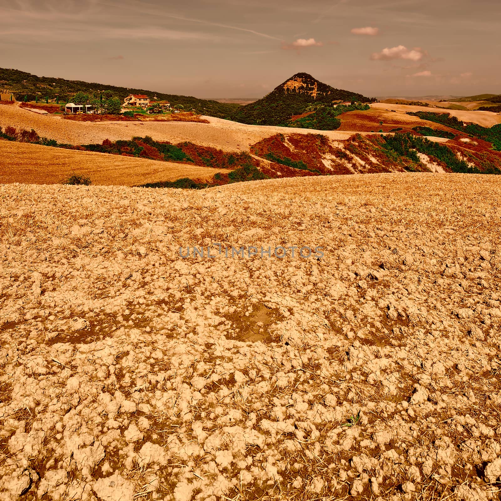 Plowed Sloping Hills of Tuscany in the Autumn at Sunset, Vintage Style Toned Picture