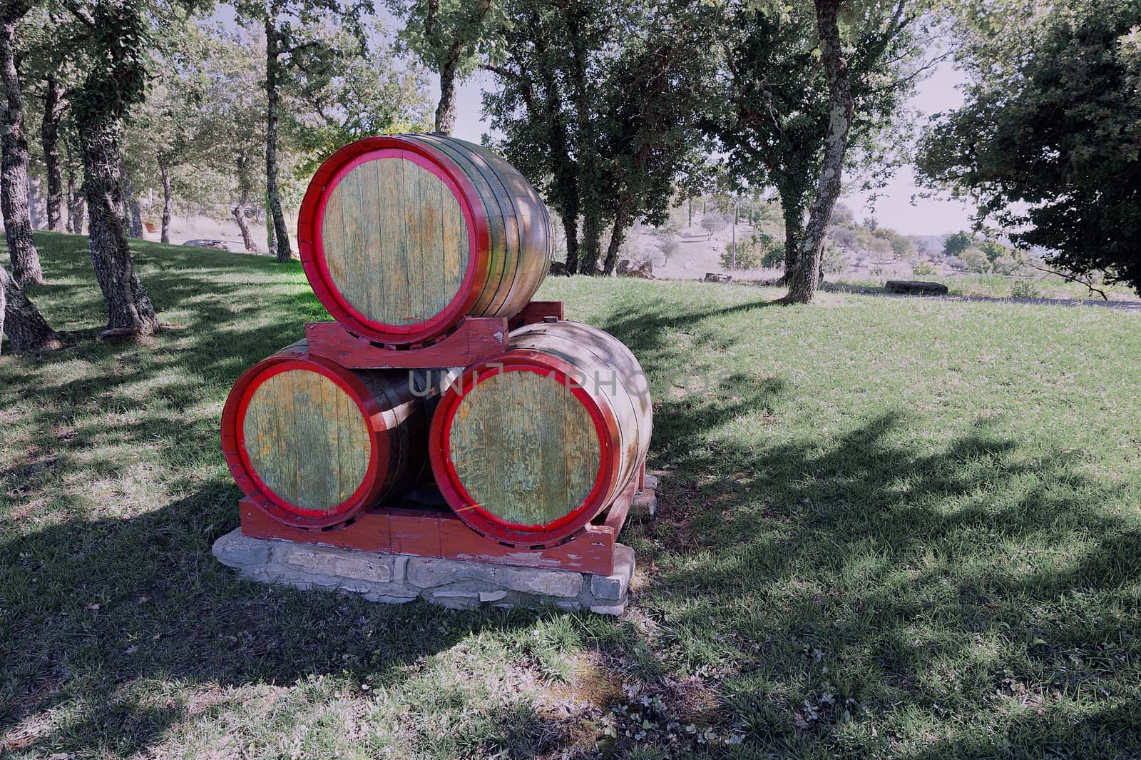 Wine Barrels  on the Hill of Tuscany with Vineyard , Vintage Style Toned Picture