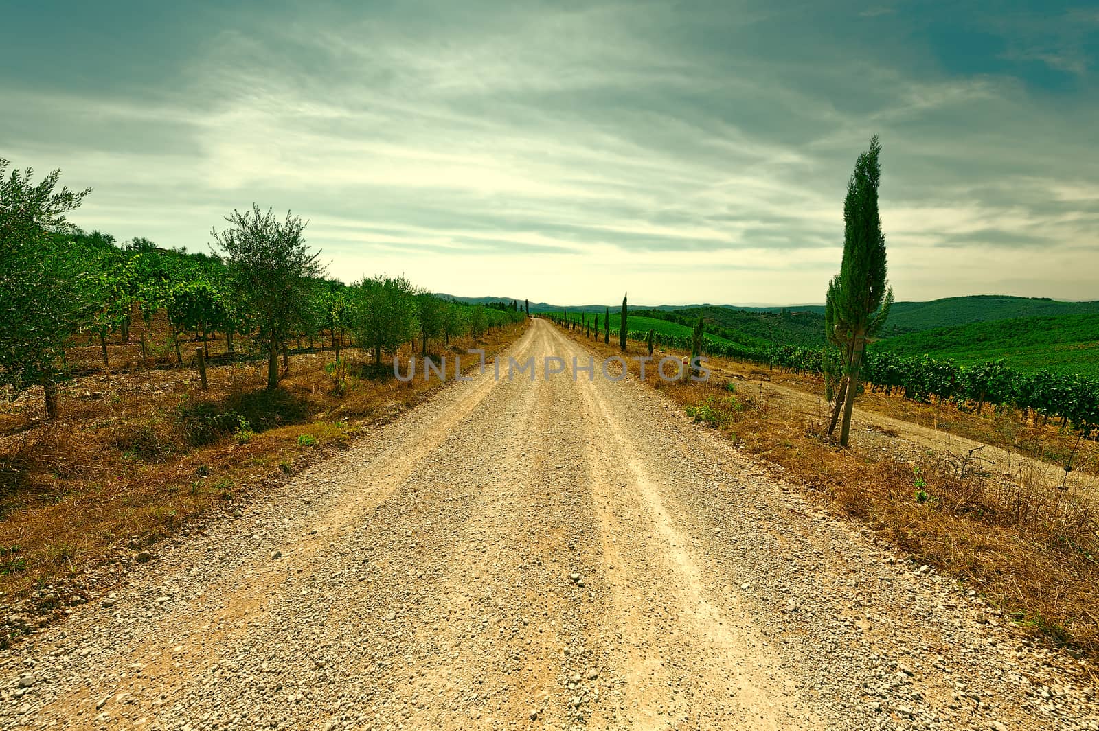 Dirt Road between Hill of Tuscany with Vineyard at Sunset, Vintage Style Toned Picture