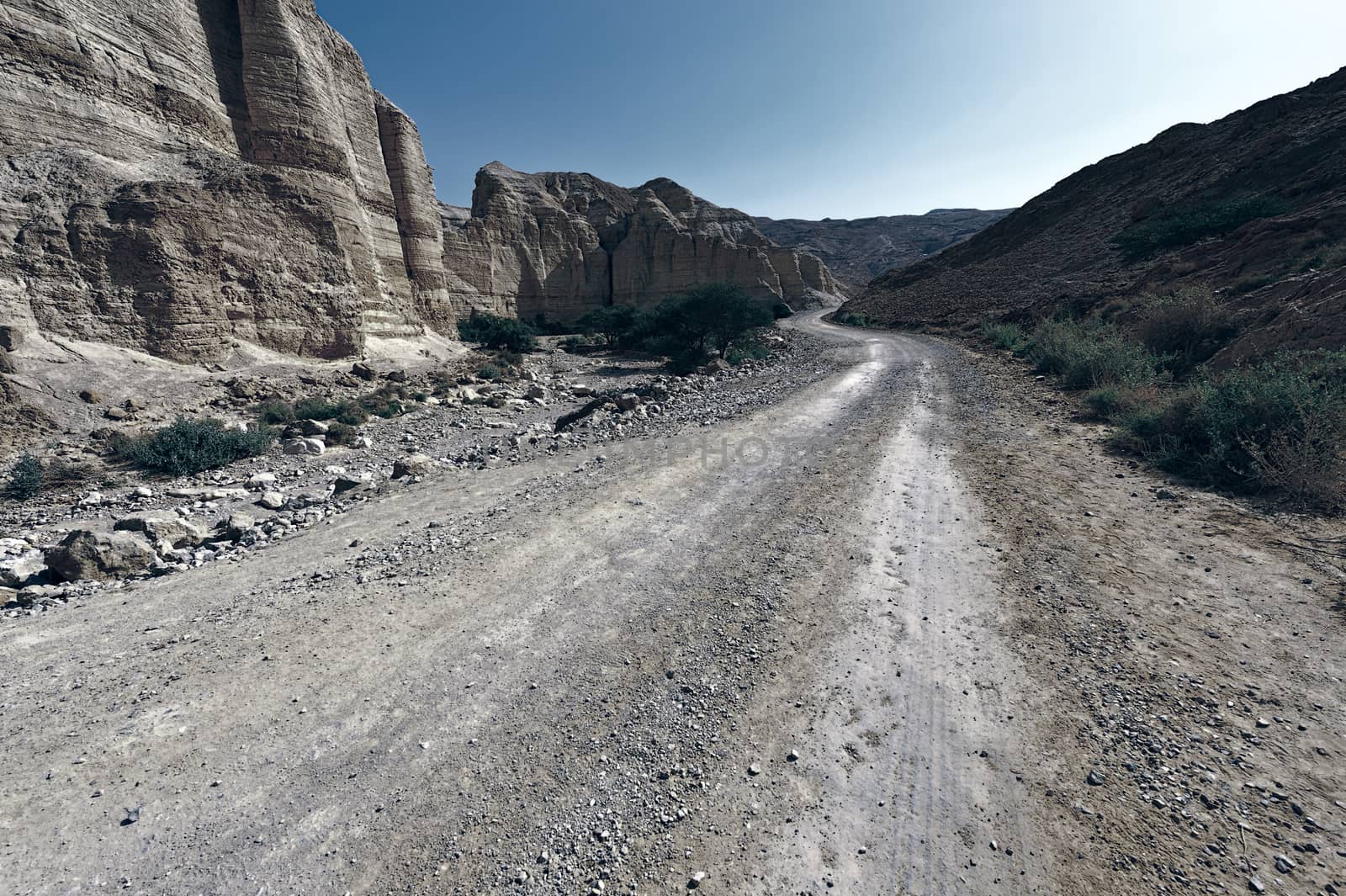 Road in Desert by gkuna