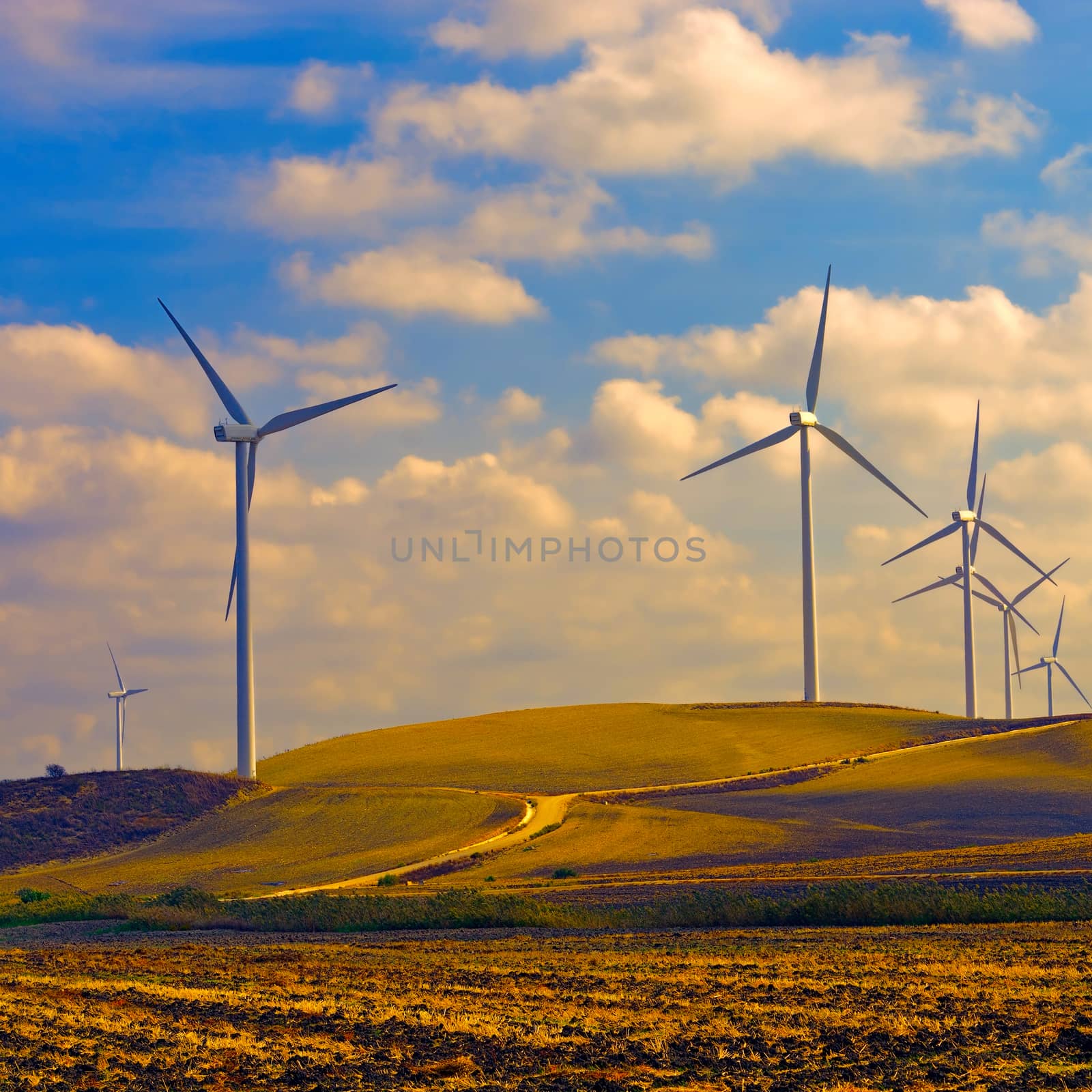 Wind Turbines by gkuna