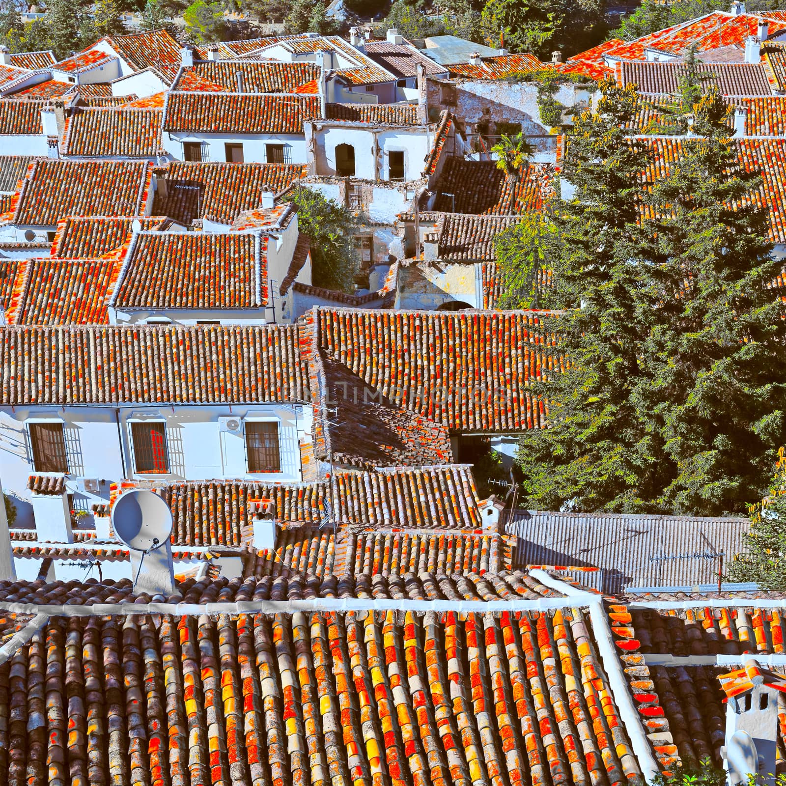 Red Tiles by gkuna