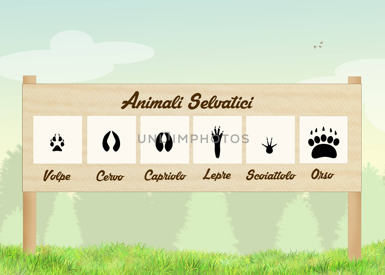 illustration of footprints of wild animals