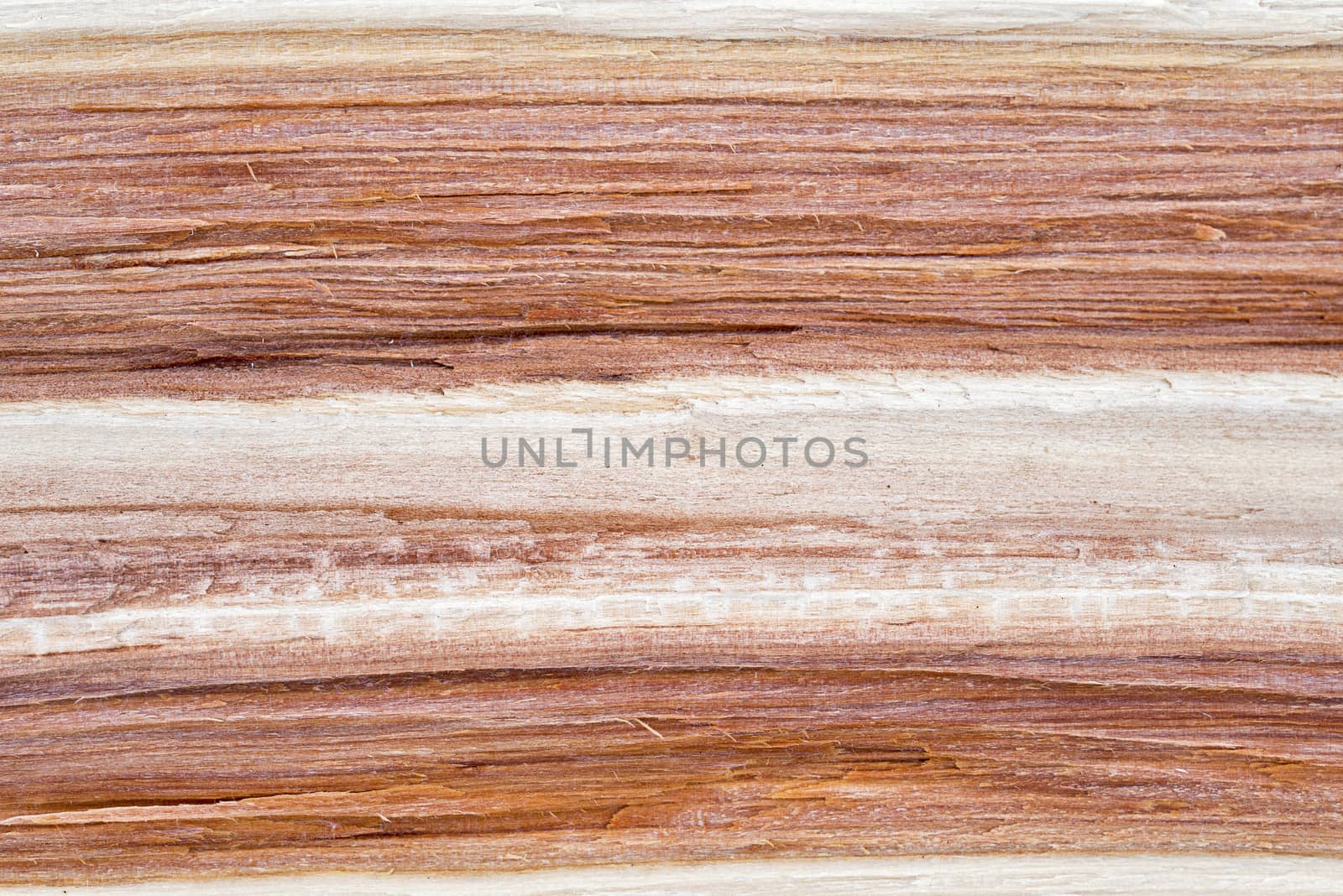 abstract Close-up chopped wooden deck texture background