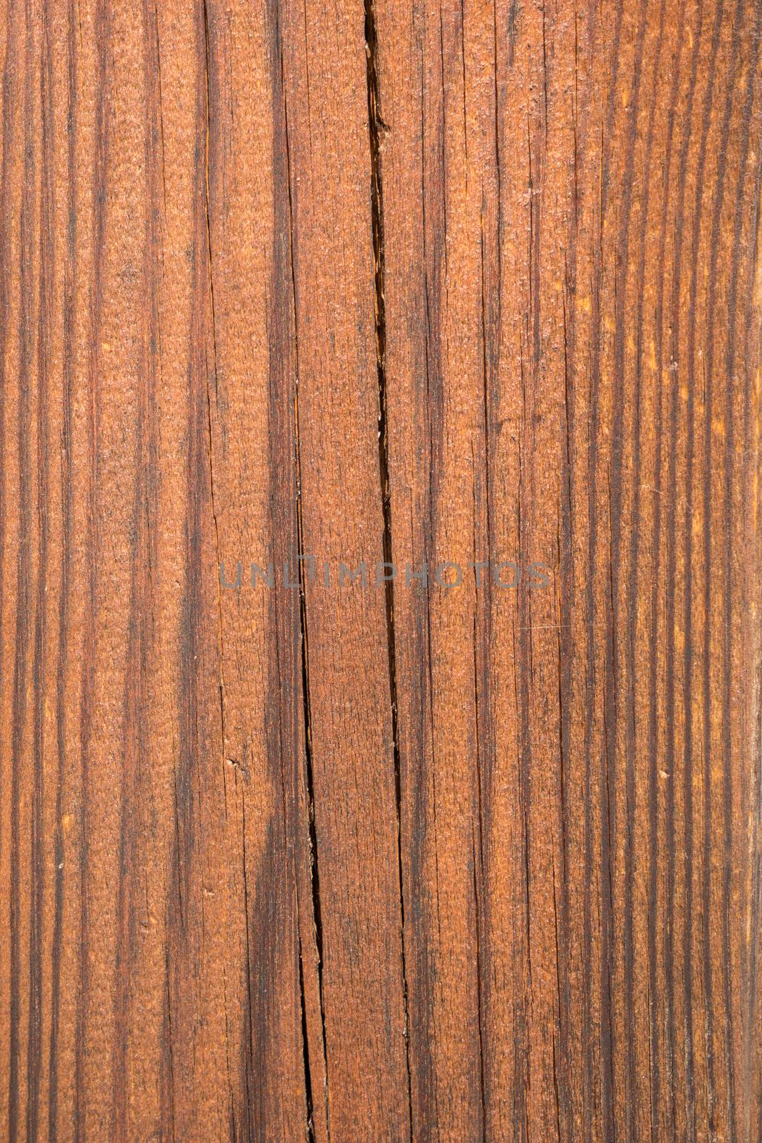 Closeup of wood texture  by homydesign