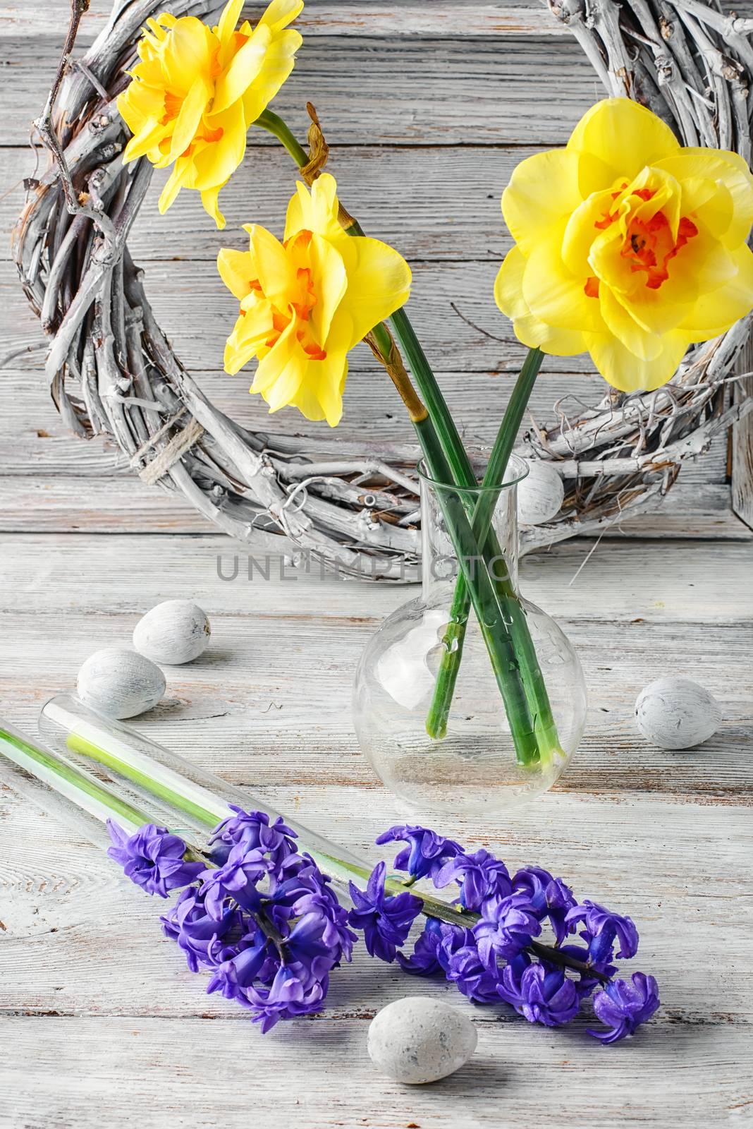 Composition with narcissus,hyacinth, and white Easter eggs