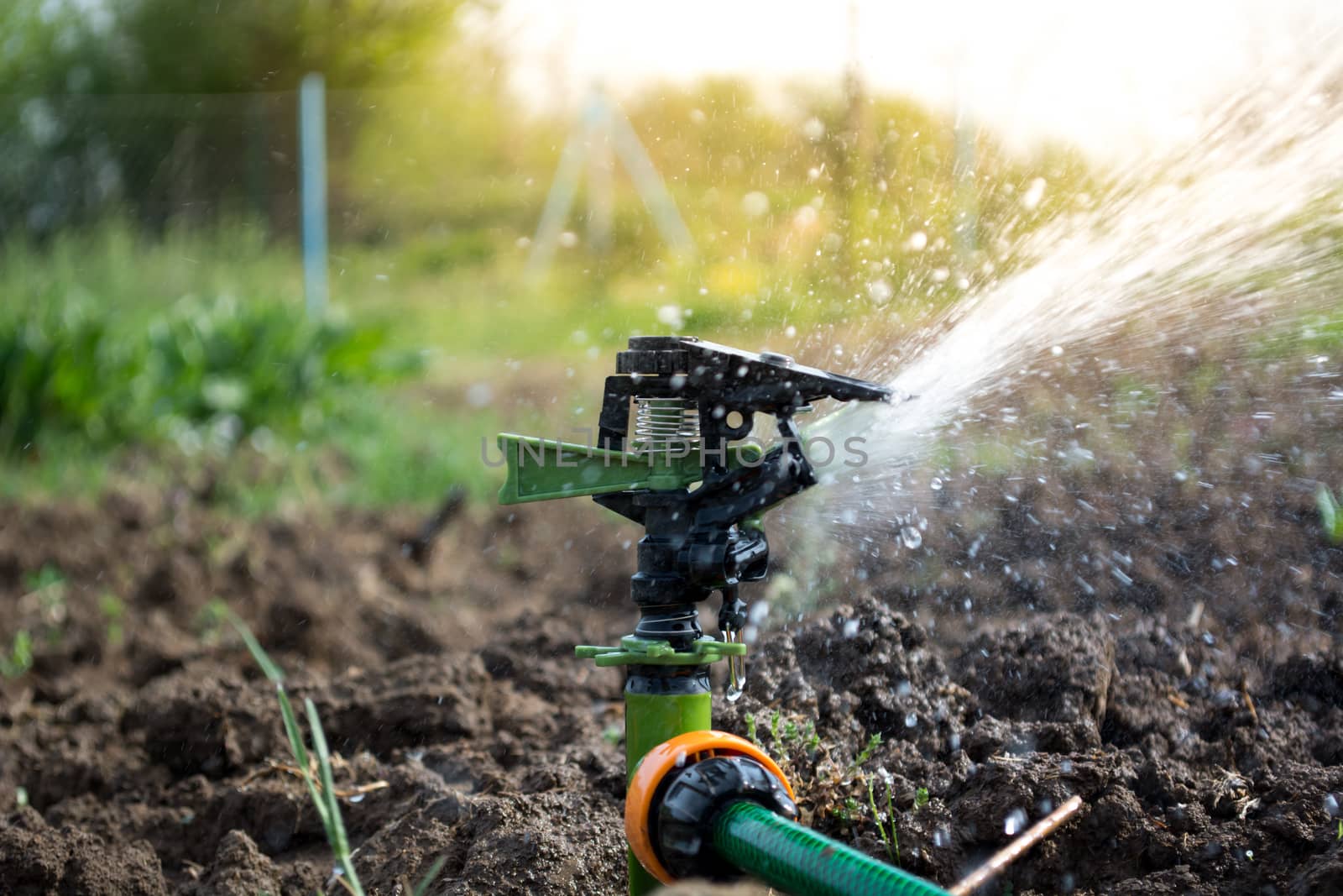 Closeup of sprinkler on the field. Water is sprayed on the field.