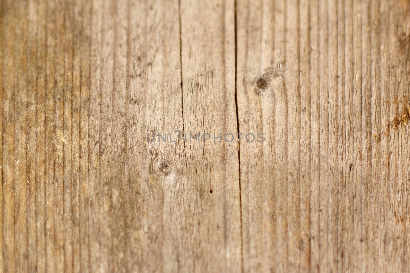 Wood texture