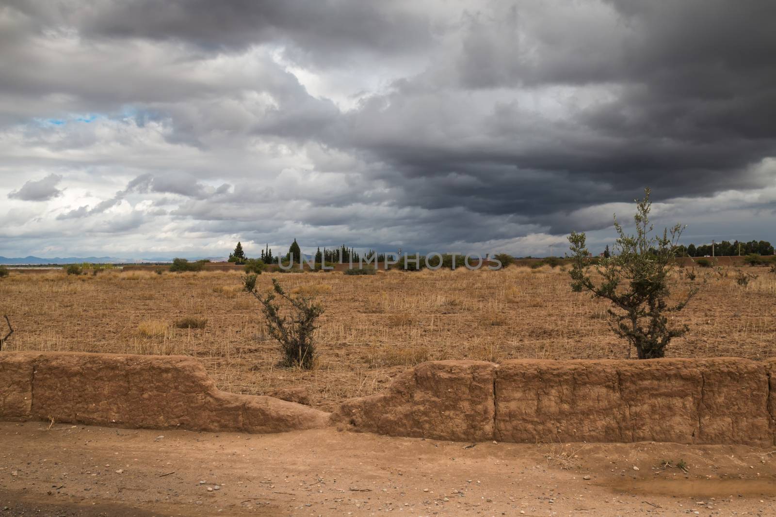 Field in the autumn. Just several argan bushes and trees. Mountains in the background. Stormy cloudy sky.