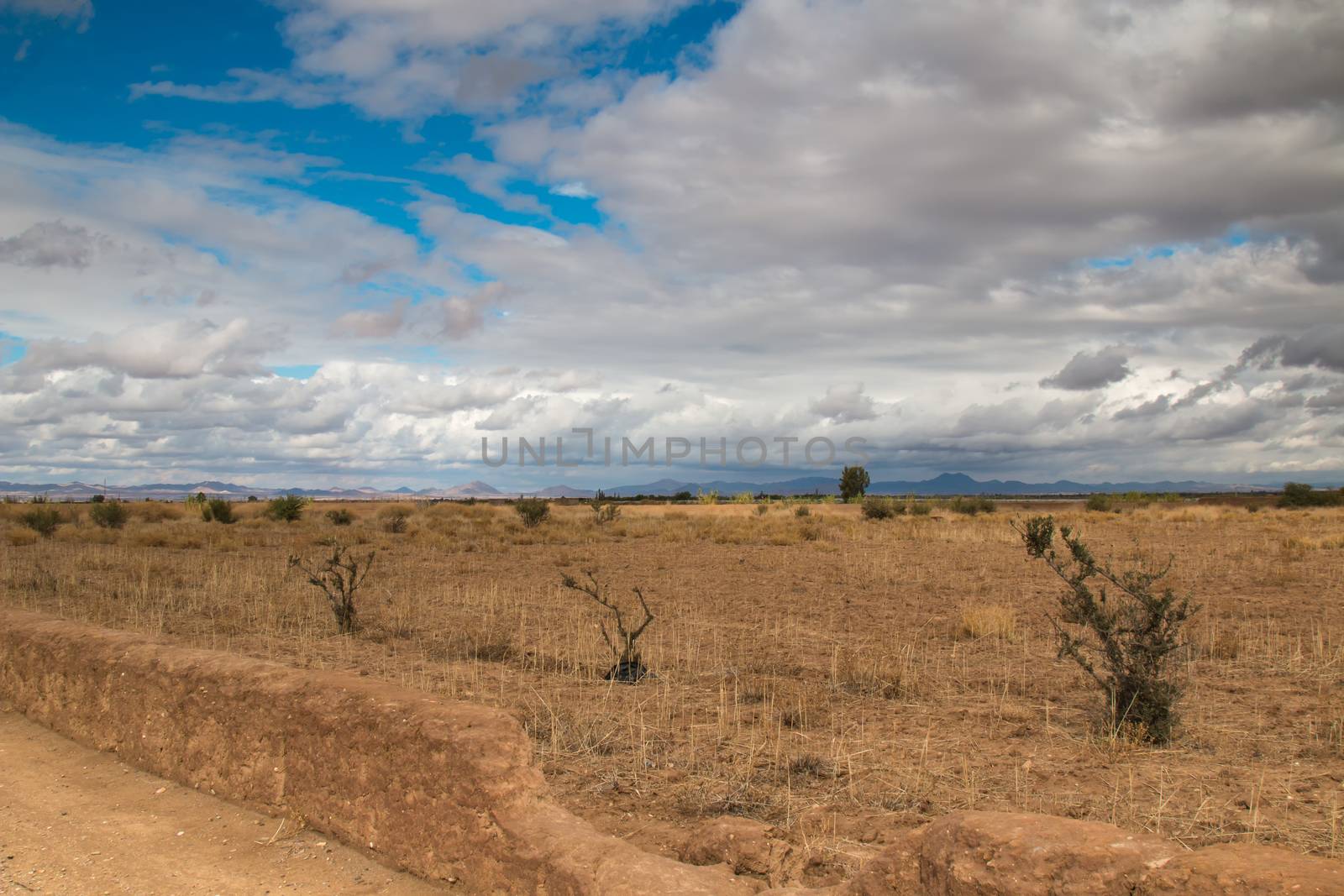 Field in the autumn. Just several argan bushes and trees. Mountains in the background. Stormy cloudy sky.