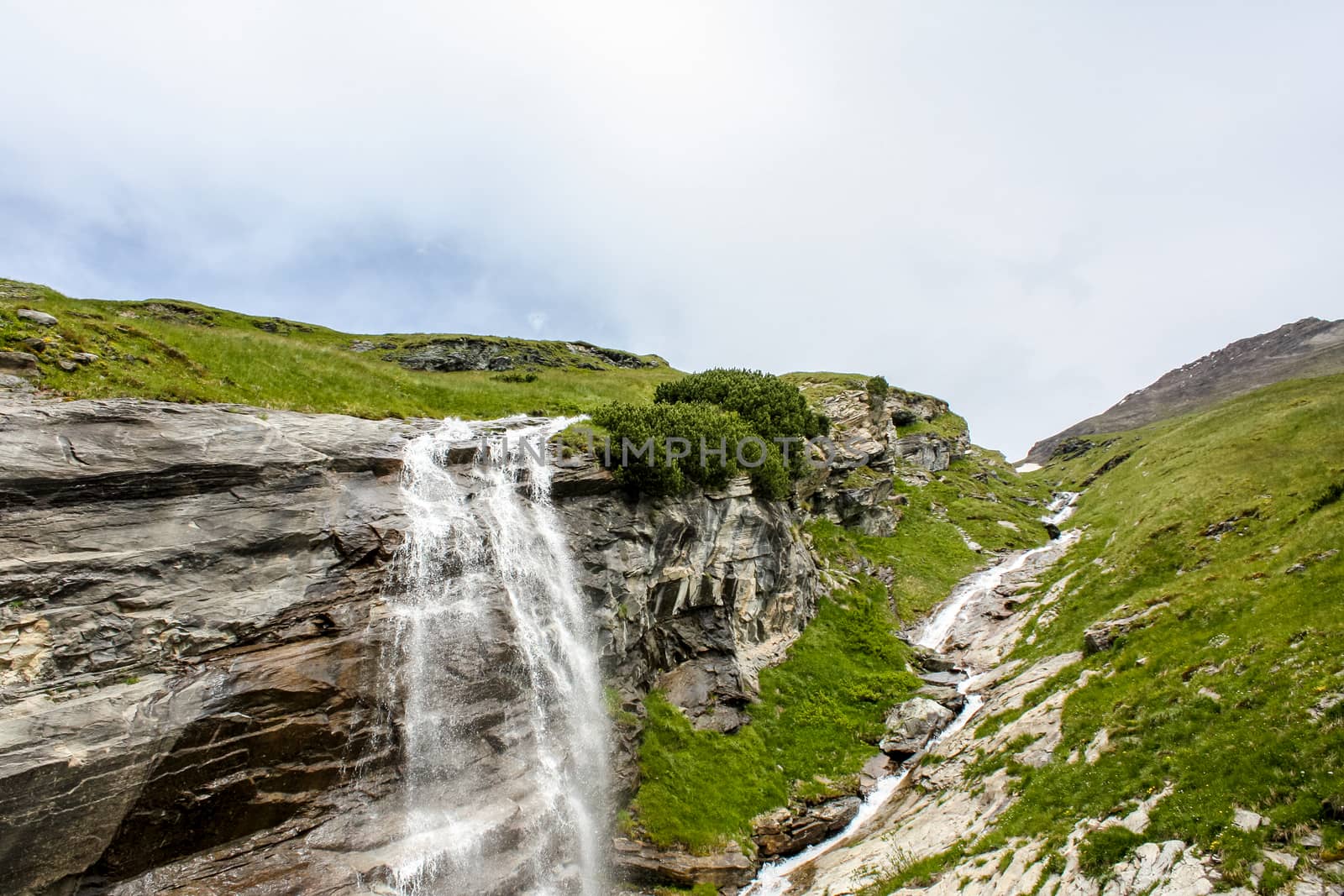 Mountain Creek. Alpine view