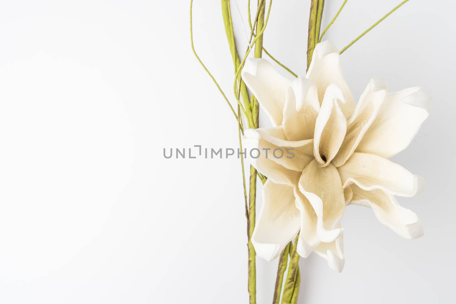 Elegant spring flower, fake gardenia on white background. For wedding background image.