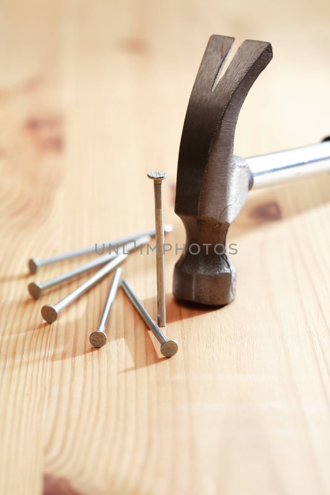 Nails set near hammer on nice wooden background