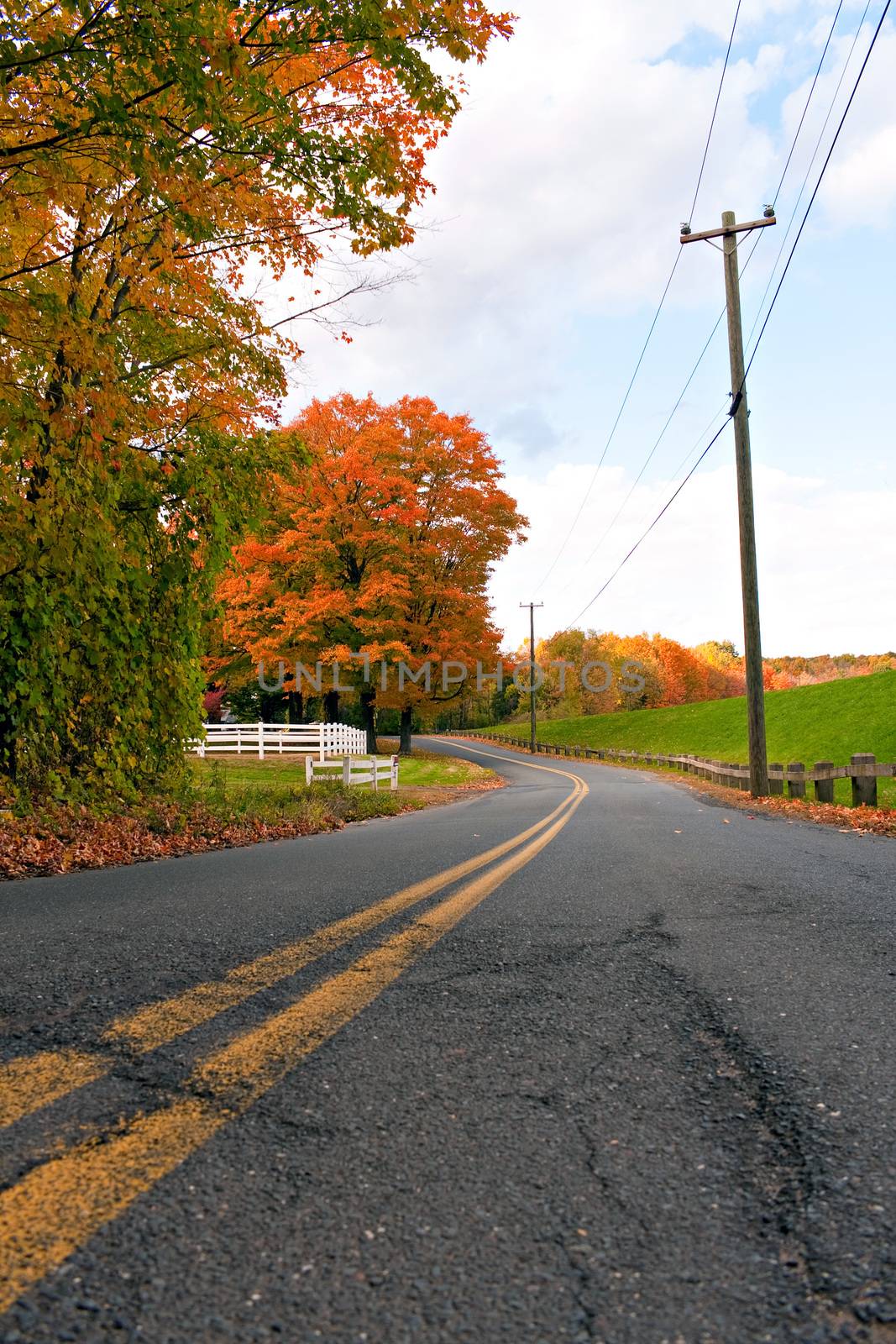 Vibrant Fall Foliage Road by graficallyminded