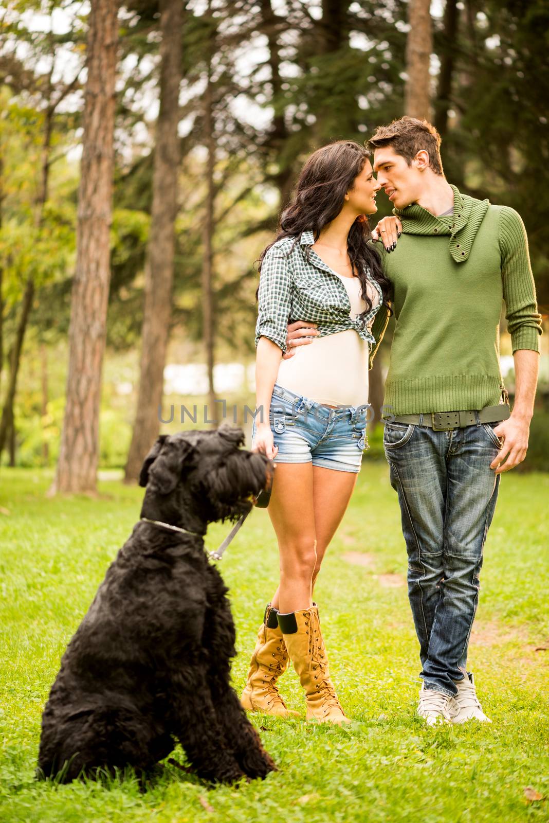 Young beautiful heterosexual couple with a black giant schnauzer, enjoy a walk through the park.