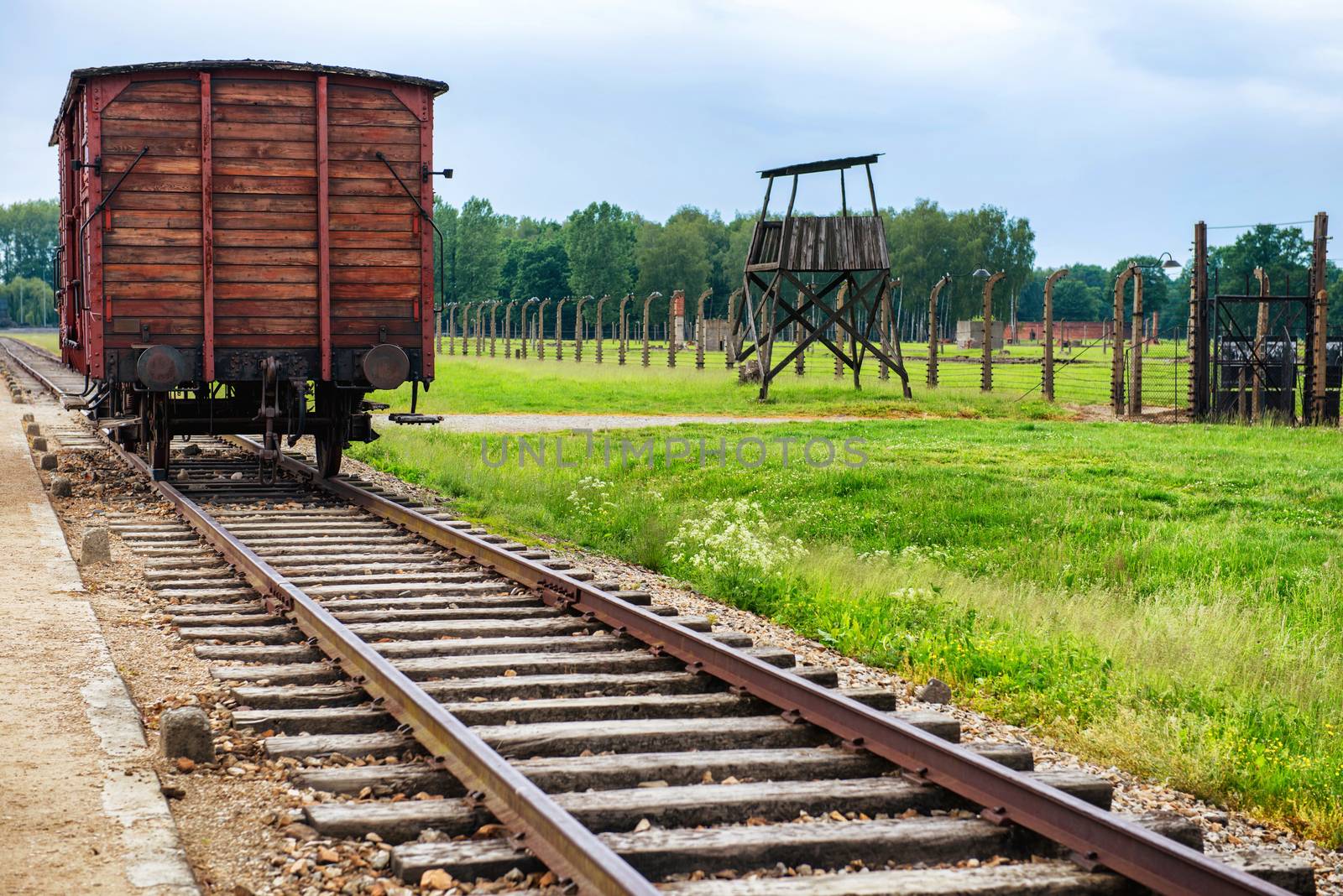 Holocaust Death Camp cattle car train by vapi