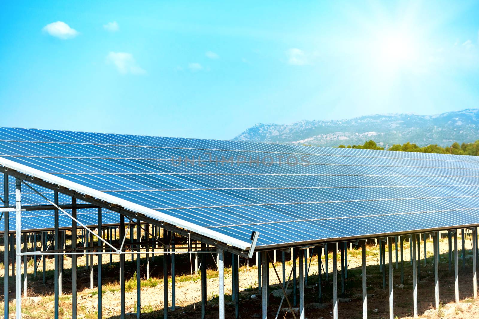 Many solar panels that produce green, environmentally friendly energy with bright sun on the blue sky