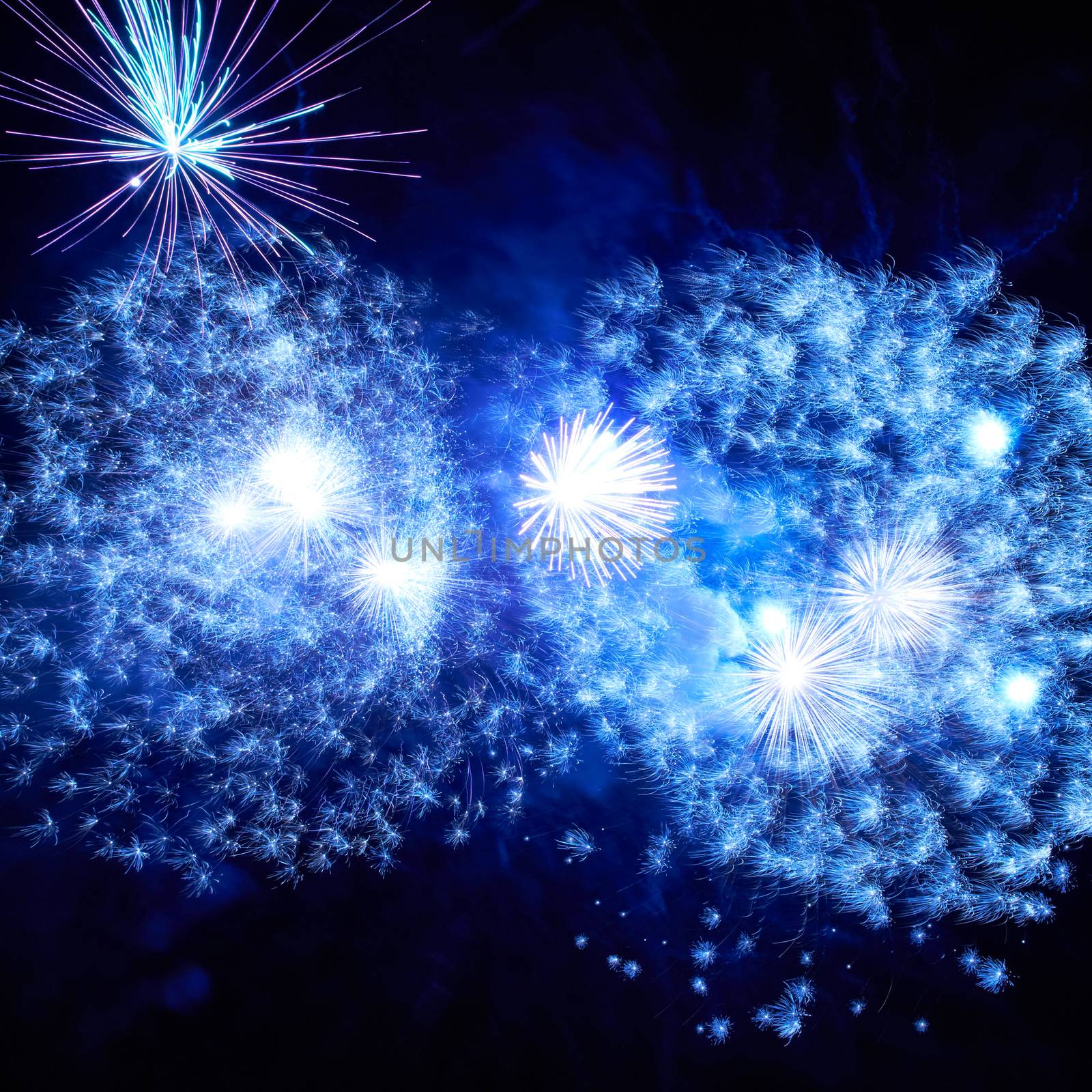 Blue colorful fireworks on the black sky background