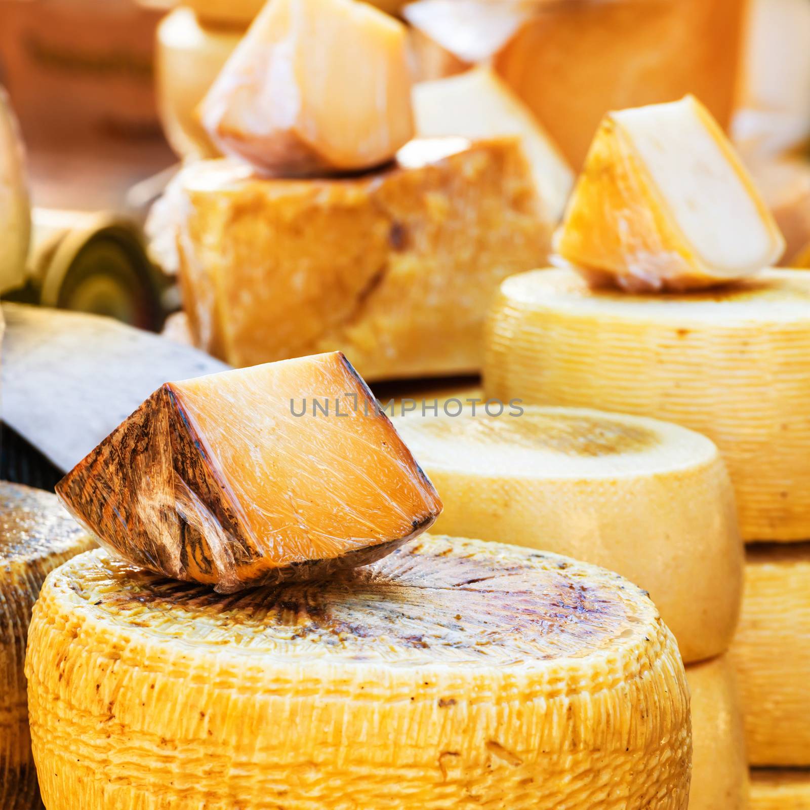 Different sorts of farm made italian cheese produced from goat milk