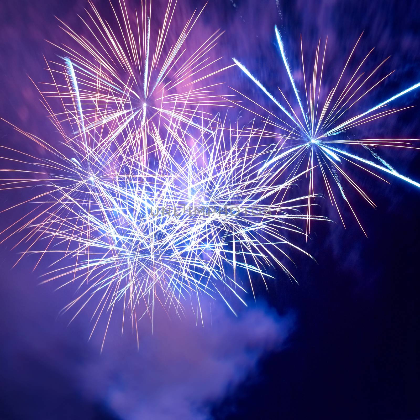 Blue and purple colorful fireworks on the black sky background. Holiday celebration.