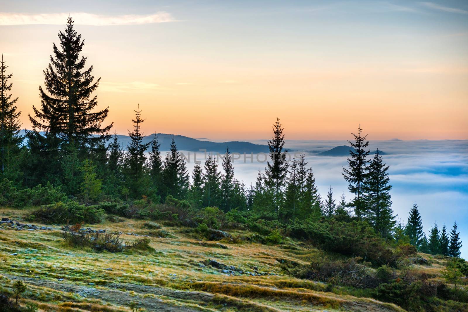 Sunset in the mountains in front of beautiful nature with forest and ocean of clouds