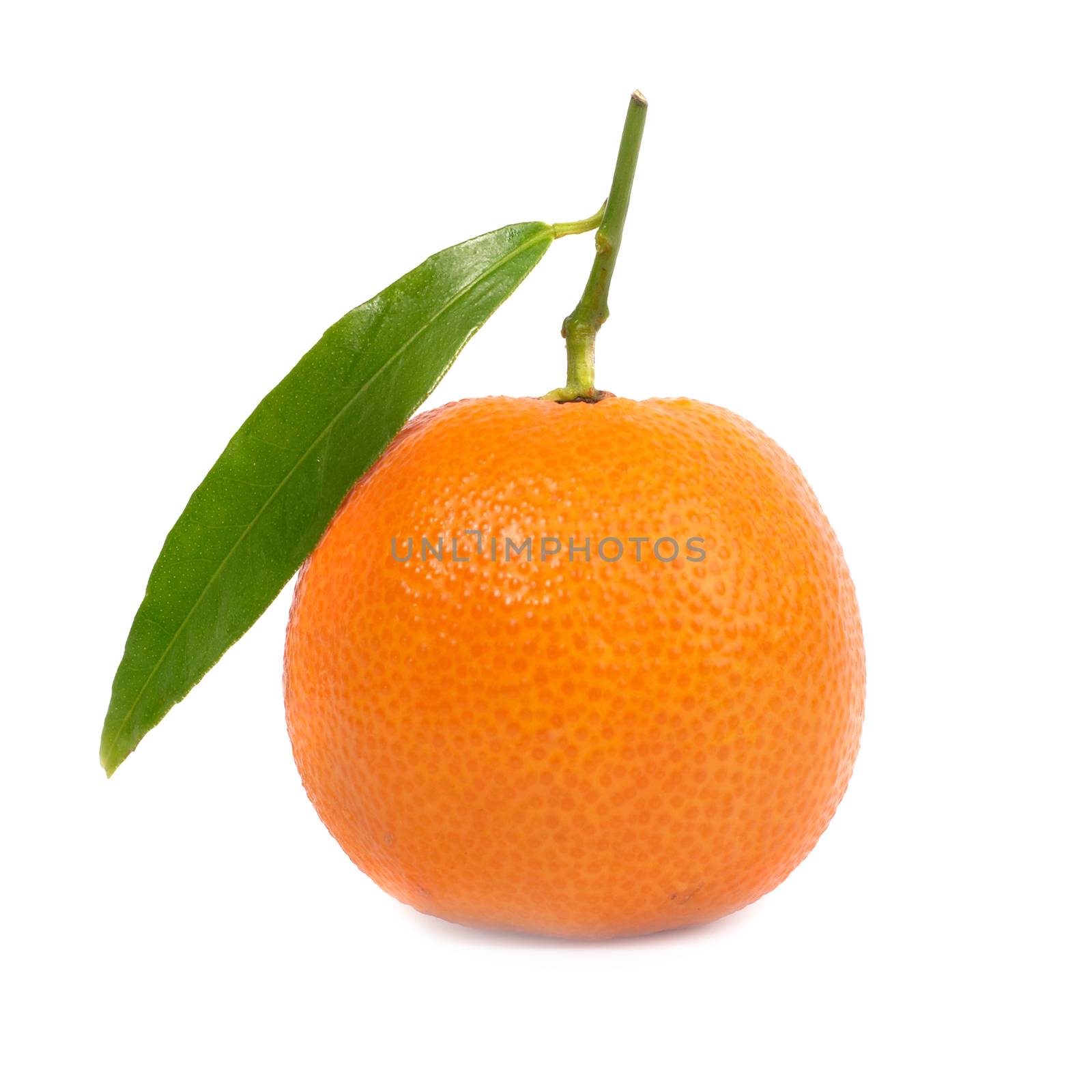 Orange mandarin by vapi