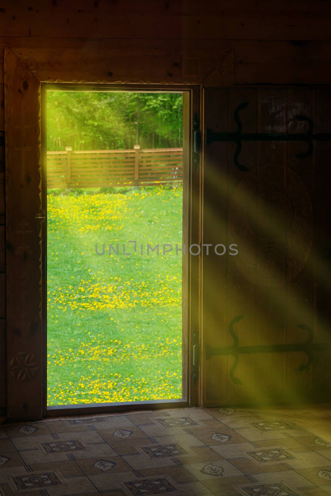 Sun light shining through wooden door from new world with green meadow and flowers