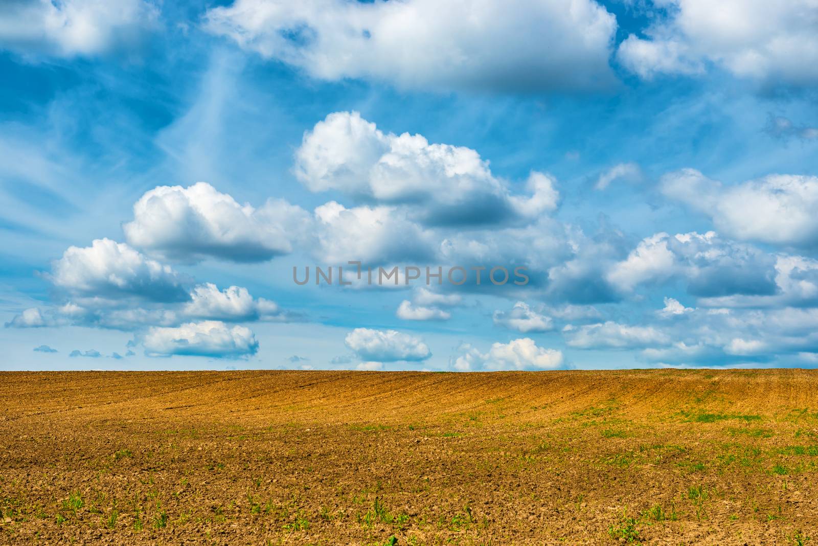 Agriculture field and blue sky with clouds.